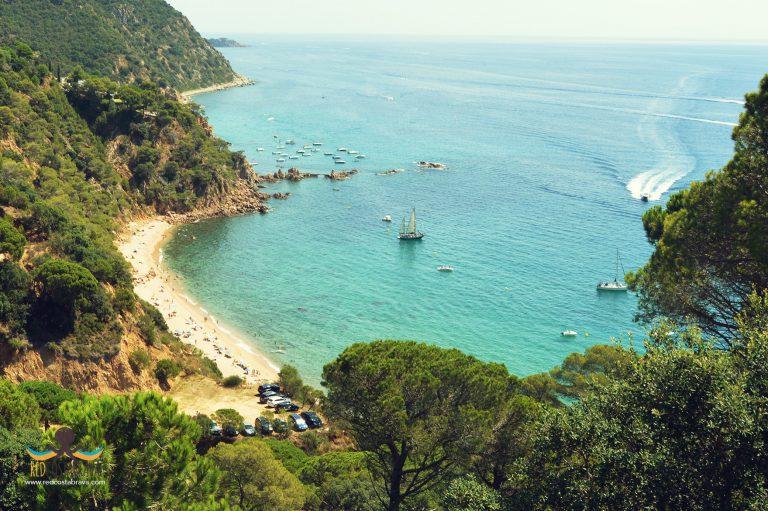 Bild der Bucht 'Cala del Senyor Ramon'