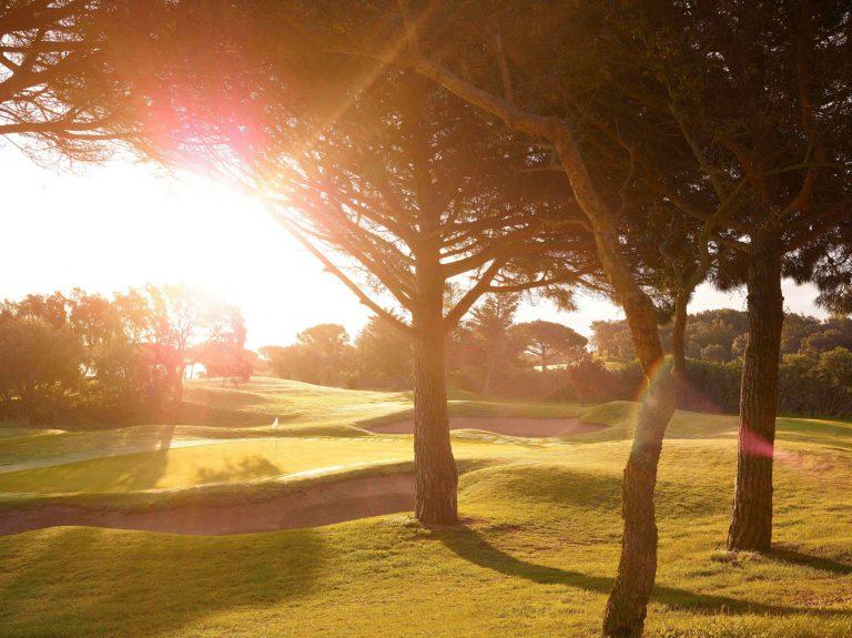 Bild eines grünen Golfplatzes mit Bäumen